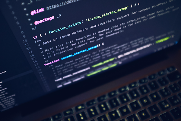 Developer coding on a laptop